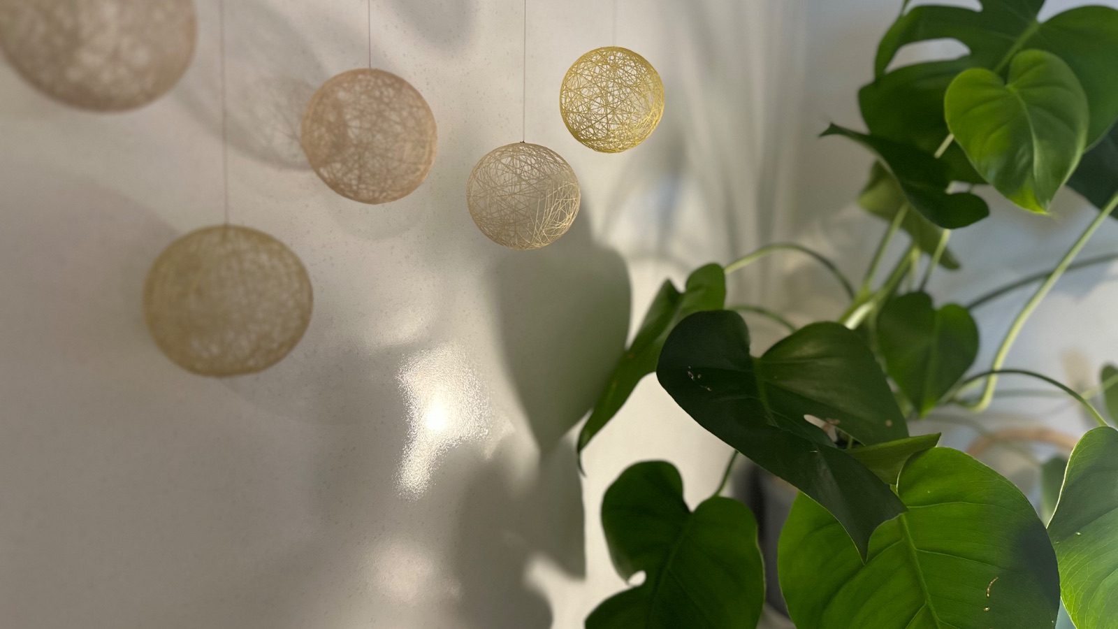 バリニーズメンテサロン N Baliの写真 8