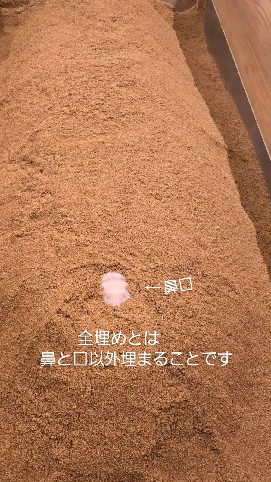酵素風呂 発酵まにあの写真 8