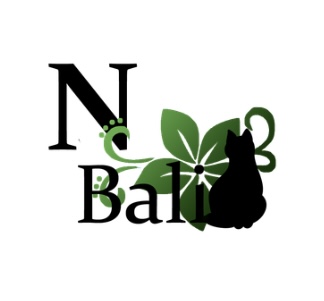 バリニーズメンテサロン【N Bali】のロゴ